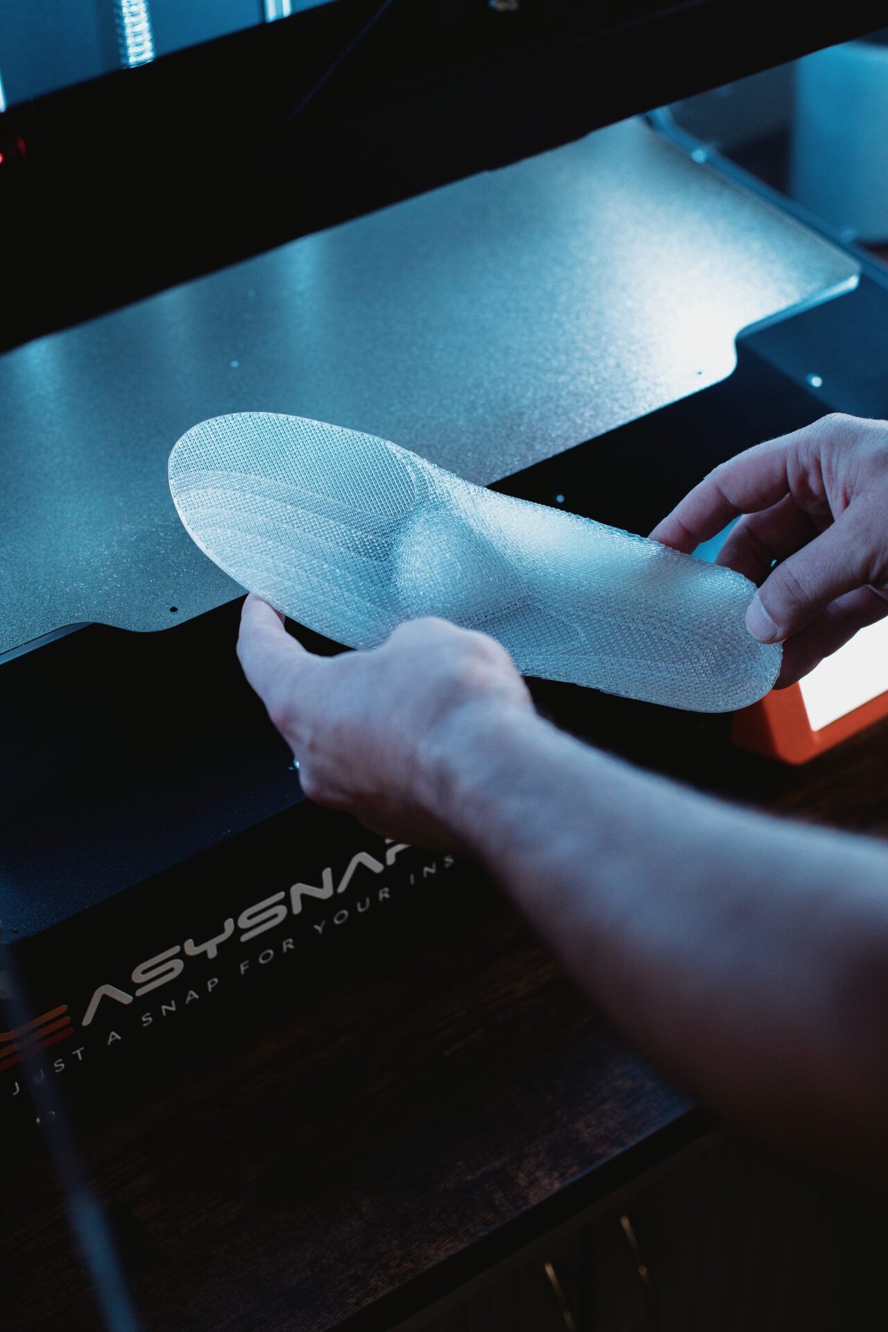 EasySnap3D - Basta un attimo per le tue solette - EasySnap3d è una stampante 3D FFF (Fused Filament Manufacturing).